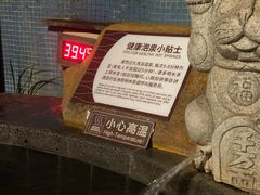 -宜春明月山维景国际温泉度假酒店