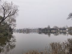 -勺湖公园