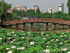 -黄兴公园