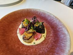 香煎澳带-水·餐厅