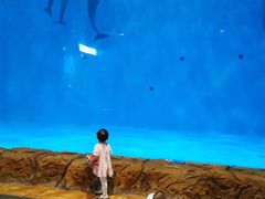 -华夏文旅海洋公园