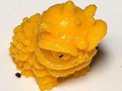 -金鸭季·臻品餐厅(欢乐海岸购物中心店)