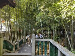 -岳麓山风景名胜区