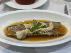 -桃苑(华侨银行大厦店)