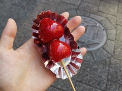 -阪急百货店(梅田总店)