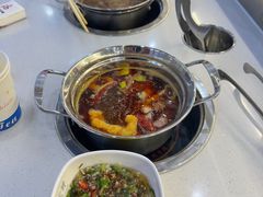 -尚渝鲜小火锅(蒙城路华联店)