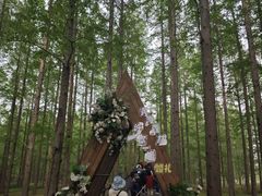 -黄海国家森林公园