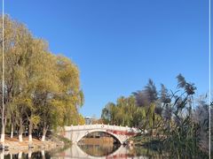 -大兴滨河森林公园