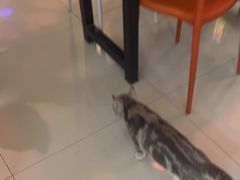 -平行世界·猫咖(首经贸店)