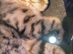 -神盾局科技密室(永川万达广场店)