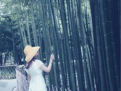 -陈家山荷花公园