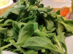-龍歌自助小火锅(李沧顺和汇店)