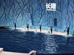 -珠海长隆海洋王国