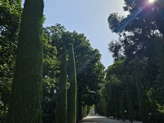 -丽池公园