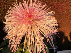 -上海大学（宝山校区）-图书馆