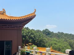 -深圳仙湖植物园