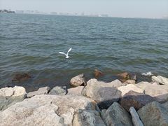 -滴水湖
