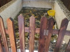 -白洋淀灶台鱼(名佳花园店)