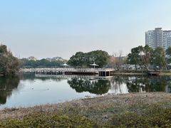 -新江湾城公园