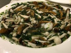 -高老庄绿色传奇(昊元生活广场店)