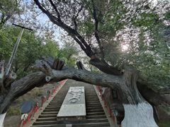 -水磨沟公园