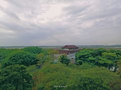 -大湾区中央湿地公园