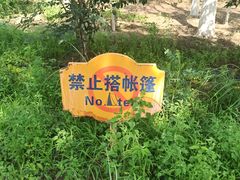 -大兴滨河森林公园