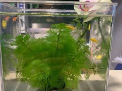 -趣陶陶艺手工坊(新世界百货重庆店)