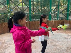 -杭州开元森泊度假乐园