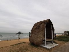 -日照海滨国家森林公园