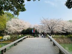 -玄武湖景区-情侣园游乐场