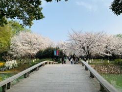 -玄武湖景区-情侣园游乐场