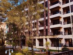 -洛阳白云山景区