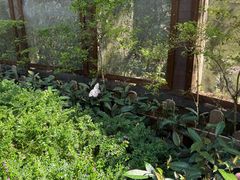 -野象谷景区