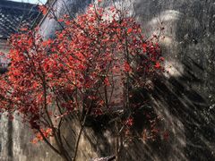 -前童古镇
