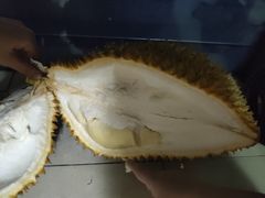 -鹿萤季·营地小馆(皇后公园店)
