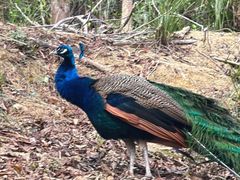 -广州白江湖森林公园