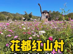 -红山村