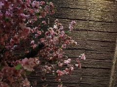 -富侨养生(康乾店)