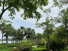 -深圳人才公园