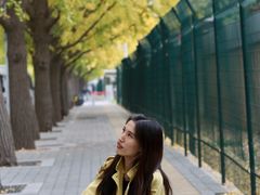 -三里屯东五街银杏大道