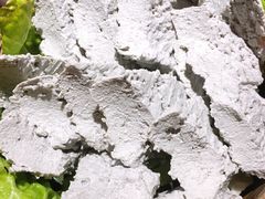 黑豆花-蜀江龙火锅(339店)