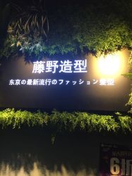 -藤野造型