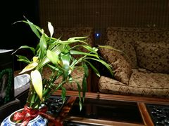 -七彩云南庆沣祥茶庄(金融街店)