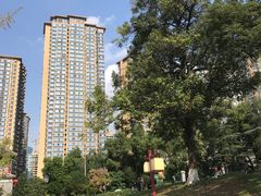 -塔子山公园