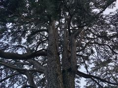 -终南山南五台景区