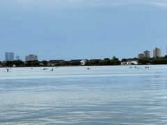 -金鸡湖景区