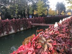 -斯多格书乡(北京大学畅春园店)