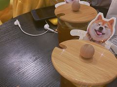-逗柴咖啡屋·狗咖猫咖宠物桌游