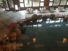 -青城道汤池